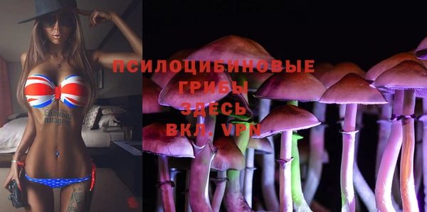 твердый Верхний Тагил