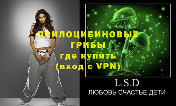 твердый Верхний Тагил