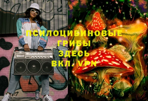 твердый Верхний Тагил