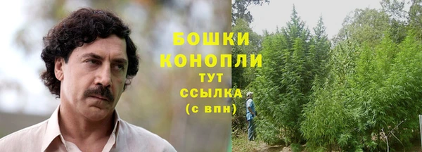 твердый Верхний Тагил