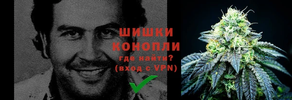 твердый Верхний Тагил